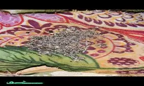 آلایندگی آب لوله کشی در منطقه تهرانسر به حد اعلای خود رسیده است!!