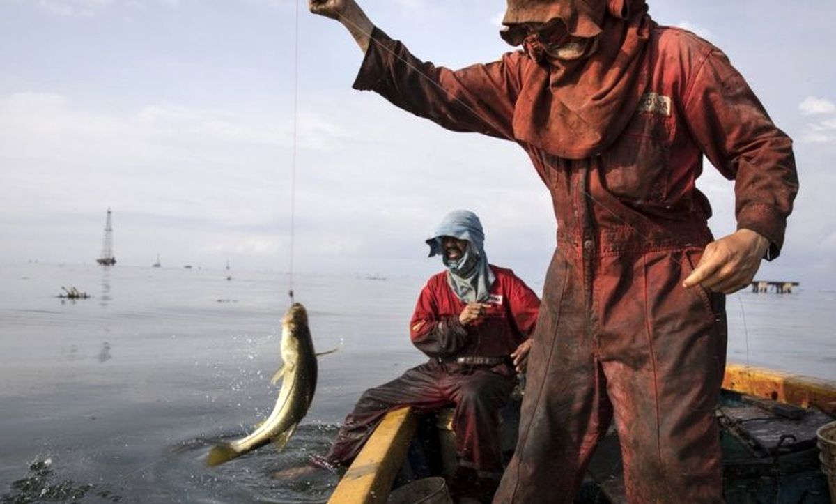 ماهیگیری در نفت، اینجا آخرالزمان است! + تصاویر