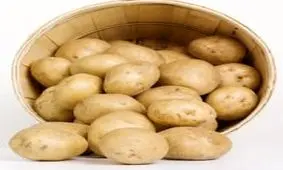 غذاهایی که سلامتی مردان را تضمین می کند