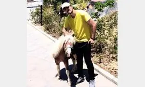 خودسوزی عکاس "هیومن پارک "در دار آباد