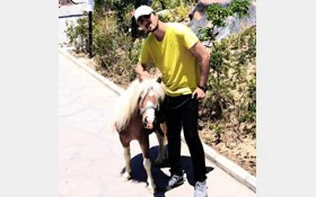 خودسوزی عکاس "هیومن پارک "در دار آباد