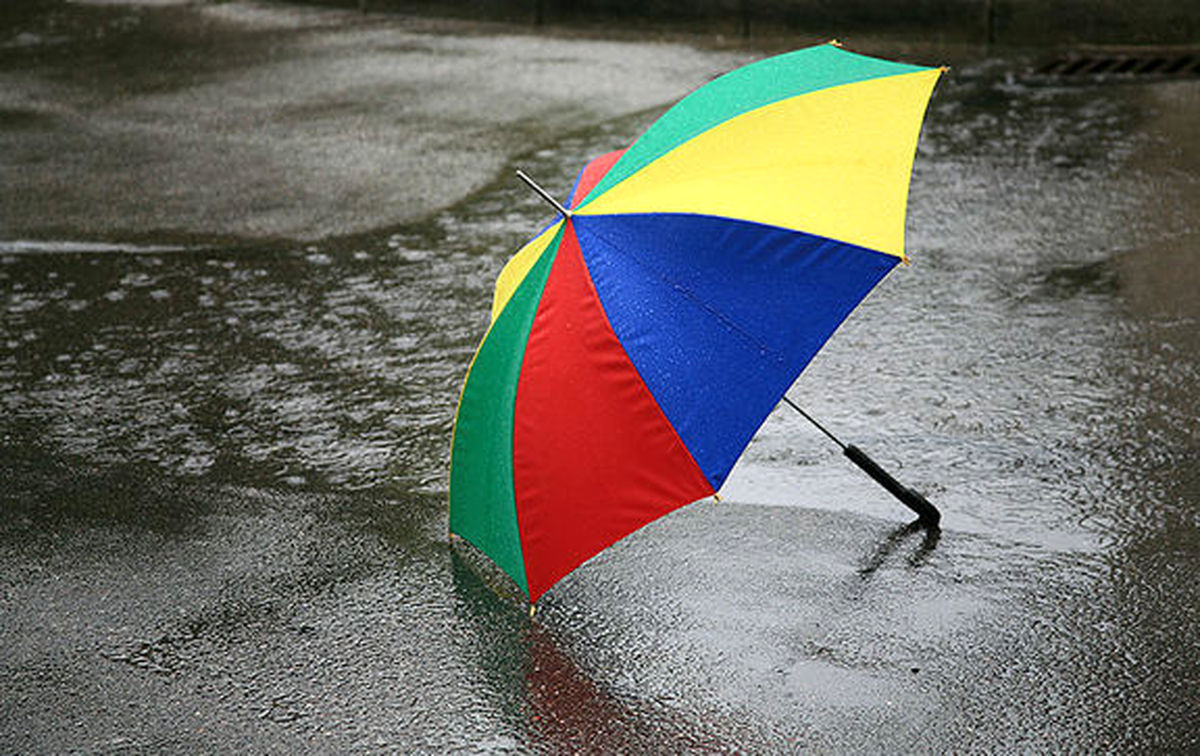 انواع چتر در رنگ های مختلف + قیمت