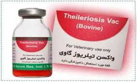 جلوگیری از خروج 1.5 میلیون دلار ارز با تولید 300 هزار دُز واکسن تیلریوز گاوی