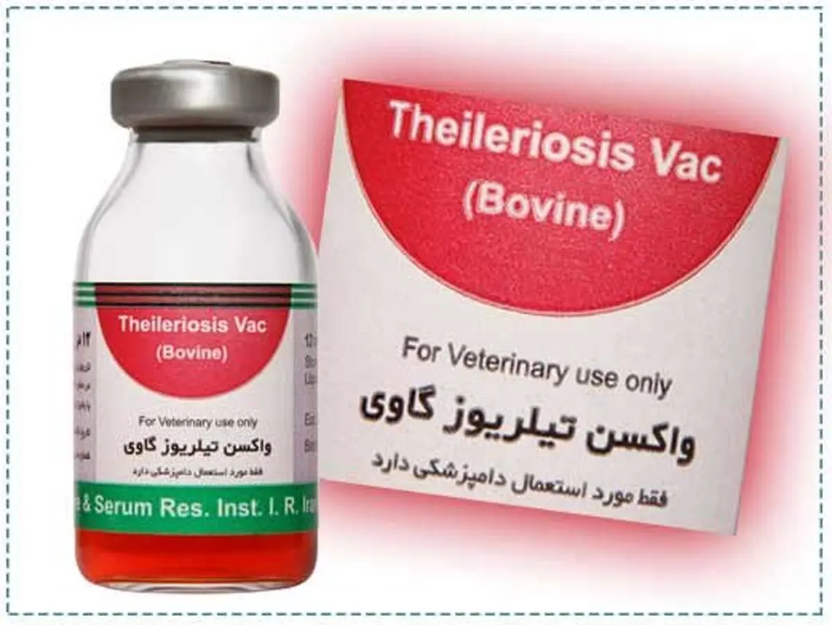 جلوگیری از خروج 1.5 میلیون دلار ارز با تولید 300 هزار دُز واکسن تیلریوز گاوی