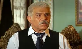 بازیگر سریال "شهرزاد": «در این پروژه دستمزد دو سه نفر بالا بود، دستمزد بقیه معمولی بود»