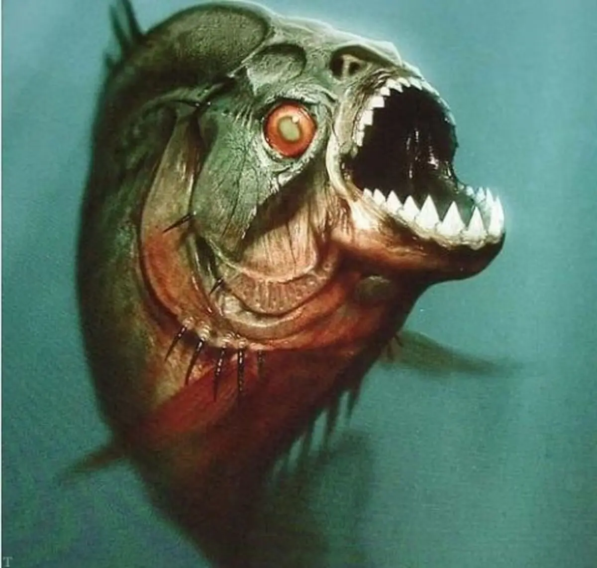 ترسناک ترین ماهی در دریای آمازون