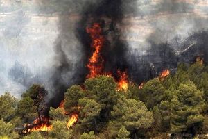 کاهش آتش سوزی در جنگل های گیلان / نیازمند بالگرد اطفا هستیم