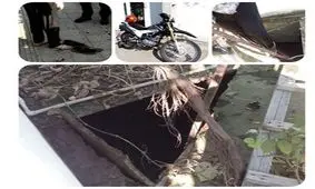 سقوط هولناک زن بابلسری در چاه باغ / ساعت ۱۰ صبح امروز رخ داد