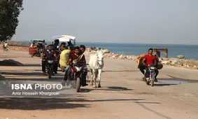 از امروز هرگونه واگذاری زمین در جزیره هرمز نباید به‌طور مستقل صورت گیرد