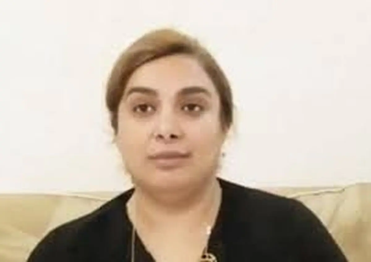 یکی از ادمین های آمدنیوزبه شهرام همایون گفته شیرین نجفی دستگیر شده و در ایران است