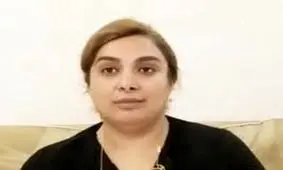 یکی از ادمین های آمدنیوزبه شهرام همایون گفته شیرین نجفی دستگیر شده و در ایران است