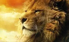 حالا چه جوری بیارمت بیرون؟!