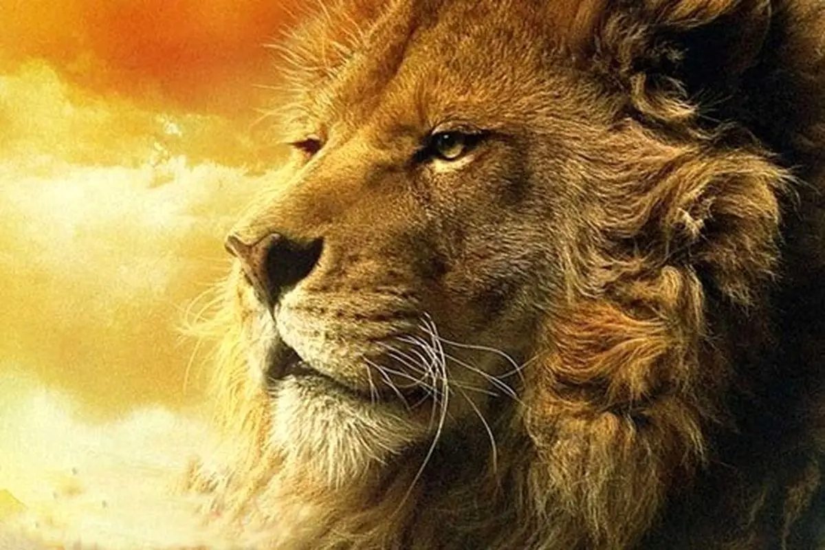 حالا چه جوری بیارمت بیرون؟!