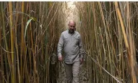 قالیباف از تهران کاندیدا می‌شود؟ / شهردار اسبق سودای سردمداری جریان اصولگرا را در سر دارد/ آیا نو اصولگرایی جایگزین اصولگرایی سنتی است ؟