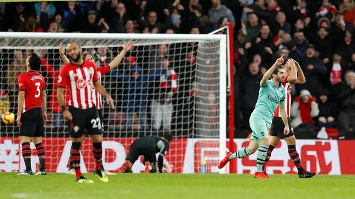 ببینید روباه‌ها چه بلایی سر ساوتهمپتون آوردند!