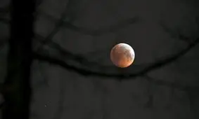 ملاقات ماه و سیاره غول‌پیکر در شامگاه فردا