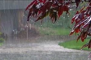 بارش‌های پاییز سال جاری ۲۰ درصد بیشتر از حد نرمال سال قبل خواهد بود