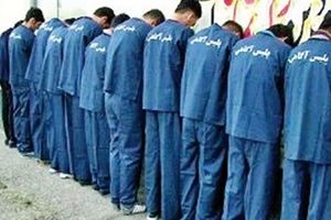 دستگیری ۱۶ عضو یک شرکت هرمی در مشهد / 3 سرشاخه اصلی لو رفتند