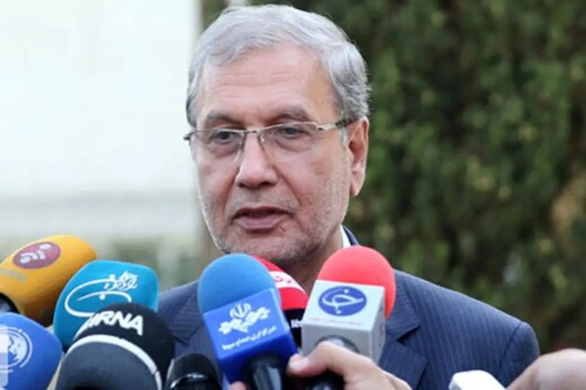 واکنش سخنگوی دولت به بازداشت رئیس سازمان جنگل‌ها و توقیف فیلم خانه پدری