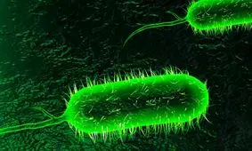 نادیده گرفتن این نشانه‌ها در بهار «وبا» به جانتان می‌اندازد