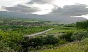 فواید تماشای مستند طبیعت برای سلامت روان