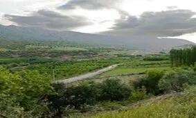 فواید تماشای مستند طبیعت برای سلامت روان