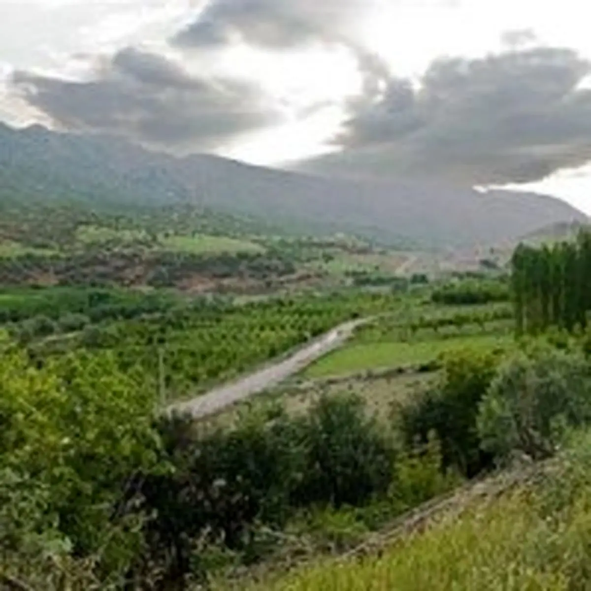 فواید تماشای مستند طبیعت برای سلامت روان