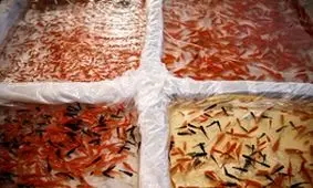 ماهی قرمز بدهید جایش کتاب بگیرید