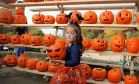 بزرگ‌ترین مسابقه حکاکی روی کدو تنبل در رومانی برگزار شد+تصاویر