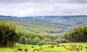 با مالکان بزرگ‌ترین زمین‌های جهان آشنا شوید / از جف بزوس تا کلیسای کاتولیک!
