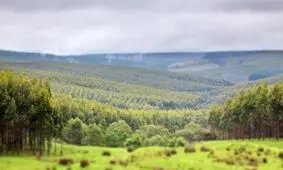 با مالکان بزرگ‌ترین زمین‌های جهان آشنا شوید / از جف بزوس تا کلیسای کاتولیک!