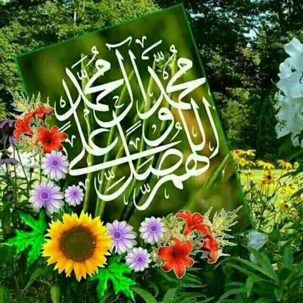 فرشته مرگ از چه کسانی مراقبت می‌کند؟