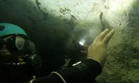 کشف ۱۳ عدد دندان متعلق به کوسه پیش از تاریخ