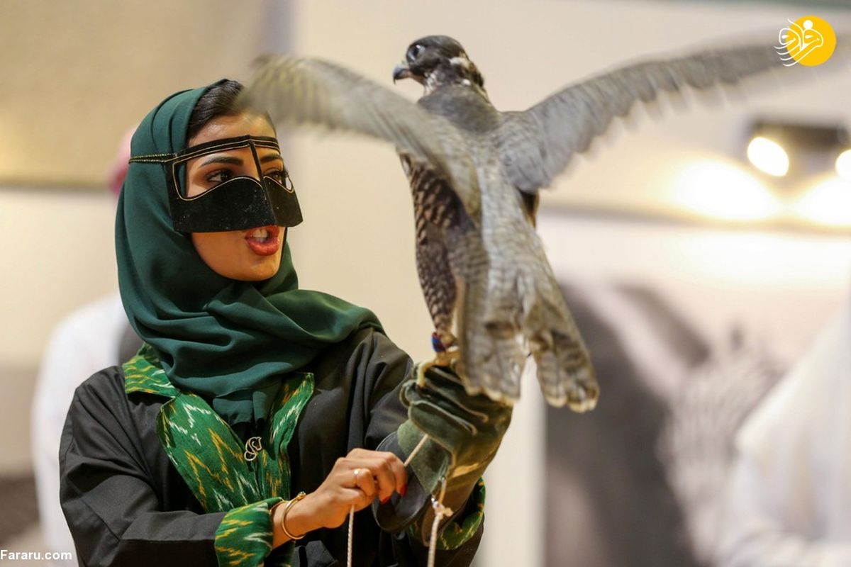 علاقه زنان عربستانی به شاهین شکاری+ عکس