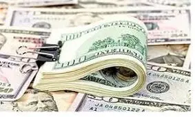 کشف ۱۲۰هزار دلار قاچاق در فرودگاه