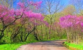 پاکسازی بدن در فصل بهار/ از خوردن «غذاهای تولید کننده خون» پرهیز کنید