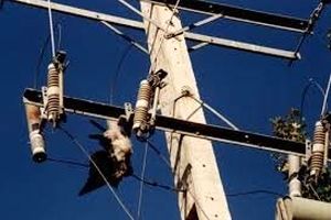 رفع مشکل پرنده‌زدگی شبکه توزیع برق با کاور پلی‌اتیلنی کنسول