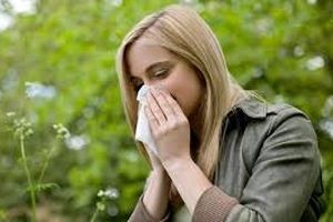 چند نمونه از بهترین آنتی هیستامین طبیعی برای مقابله با آلرژی
