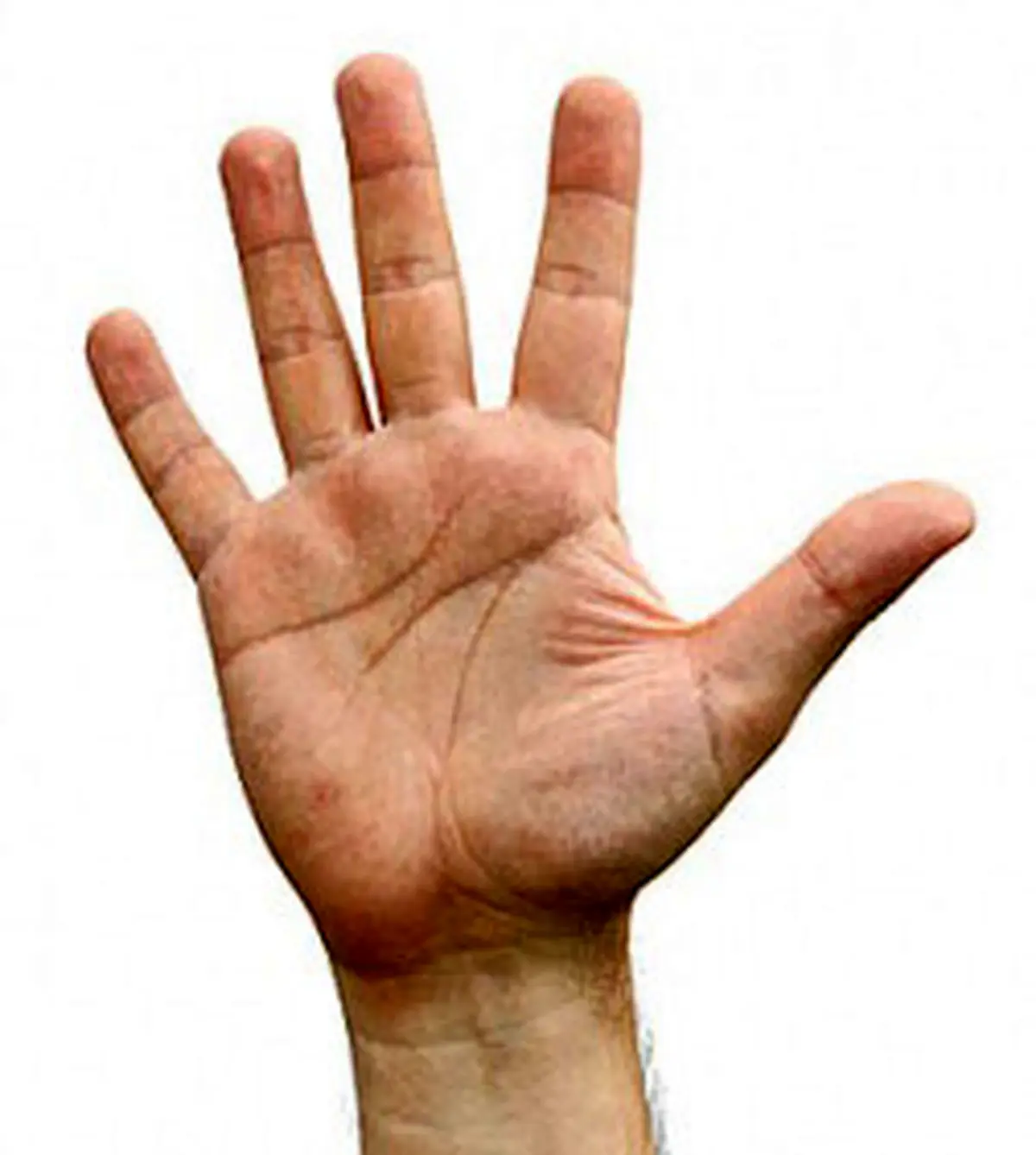 در بند انگشت‌های شما راز و رمزی نهفته که با دقت در آن‌ها به این رموز پی می‌برید!