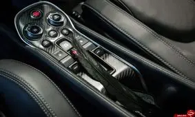 خودروی لوکس با پر پرندگان (+عکس)