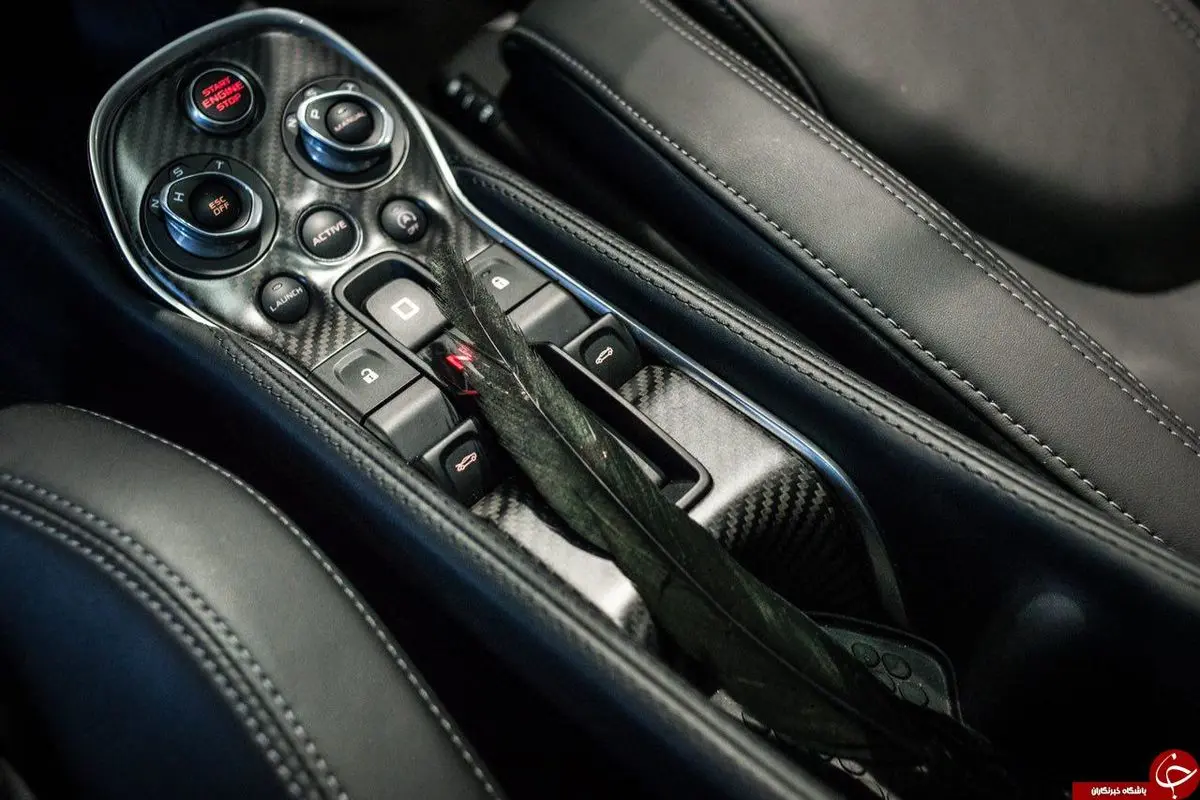 خودروی لوکس با پر پرندگان (+عکس)