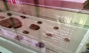 جایگاه زنان در تخت جمشید در الواح هخامنشی