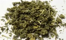 گول نامش را نخورید، این «گُل» آن گُل نیست!