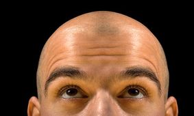 اولین بانک موی جهان تاسیس شد