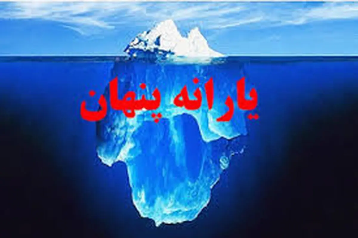 حذف یارانه‌های پنهان منجر به افزایش هزینه تولید می‌شود