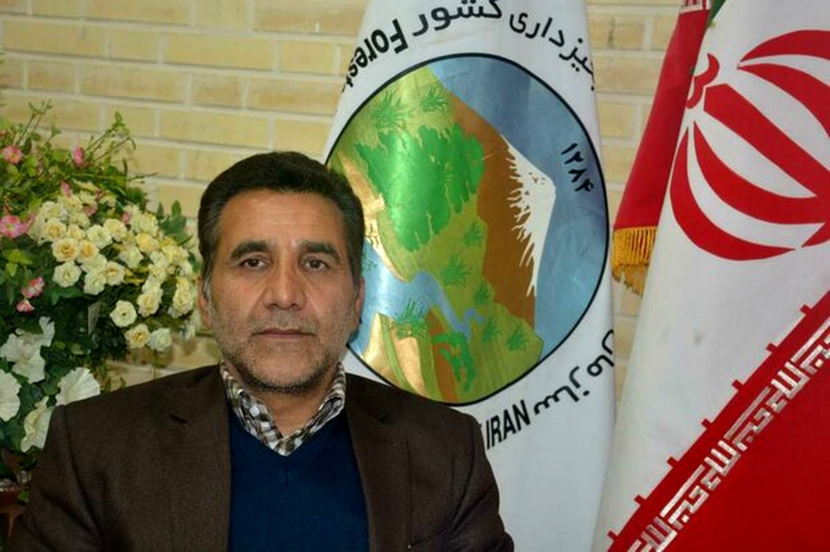 ۸۰ درصد آتشسوزی عرصههای منابع طبیعی گرمسار سهوی است