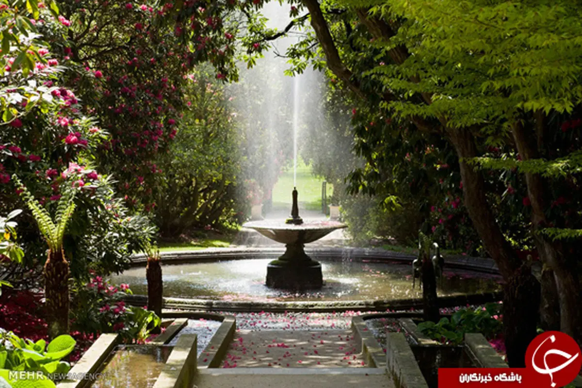 این تصاویر را از دست ندهید/زیبایی های بهار در نقاط مختلف جهان‎