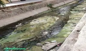 قلب شهر زاهدان به بو آمده