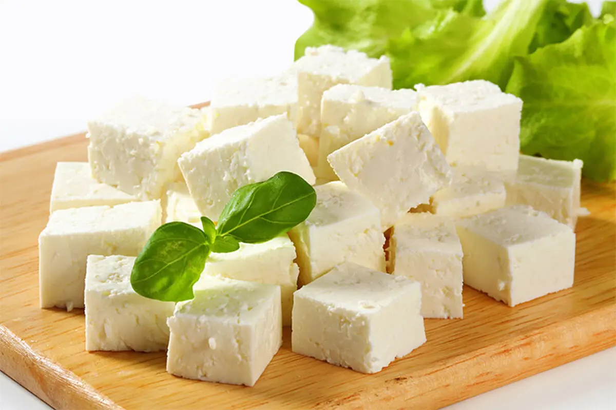 پنیر چاق کننده است؟ + خواص پنیر