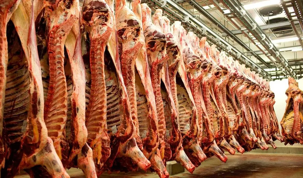کمبودی در عرضه گوشت نداریم/حداکثر قیمت هر کیلو دام زنده ۴۰ هزار تومان